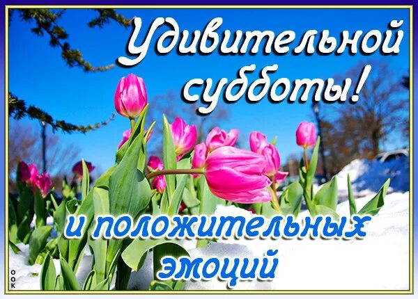 Пожелание доброго весеннего утра субботы картинки СУББОТА -13 МАРТА! - Просто ДОБРОЕ УТРО , пользователь Людмила Феденюк Группы Мо