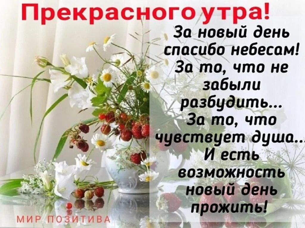 Пожелание господне с добрым утром картинки ПРИВЕТСТВИЯ и ПОЖЕЛАНИЯ, открытки на каждый день. опубликовал пост от 22 августа