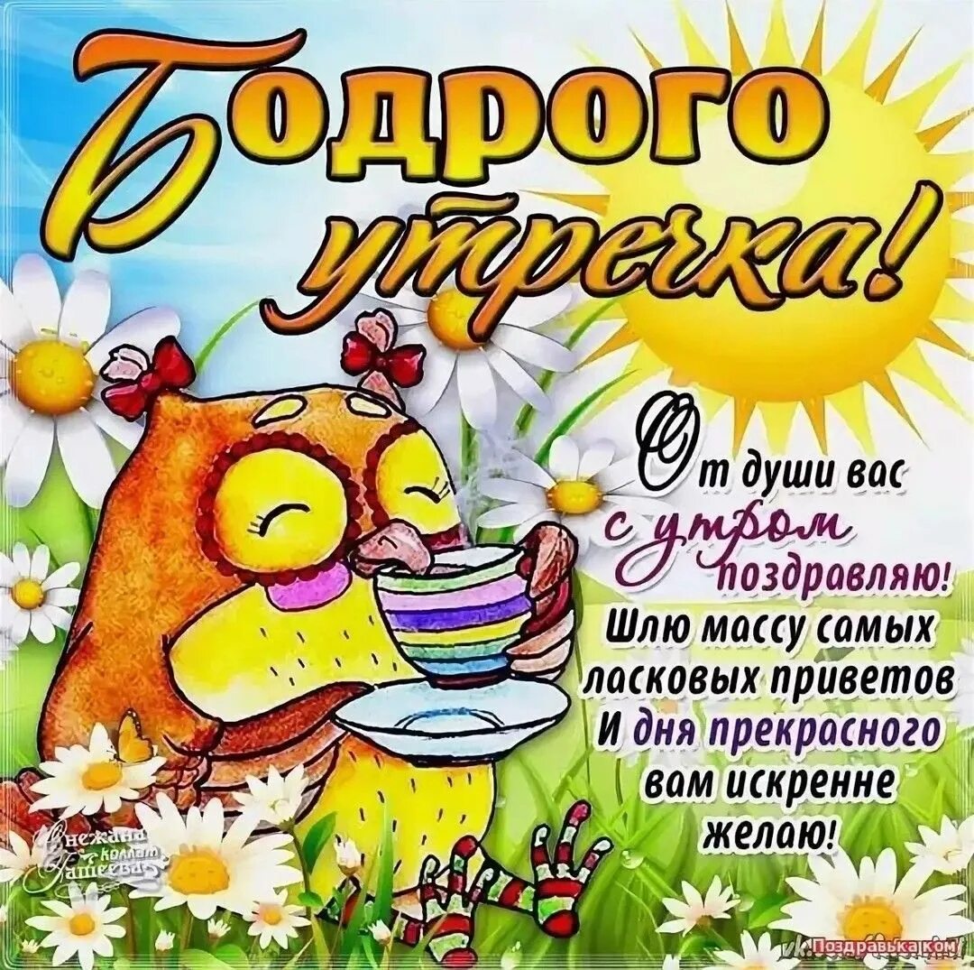 Пожелание хорошего утра картинки прикольные Картинки прикольные с днем утром