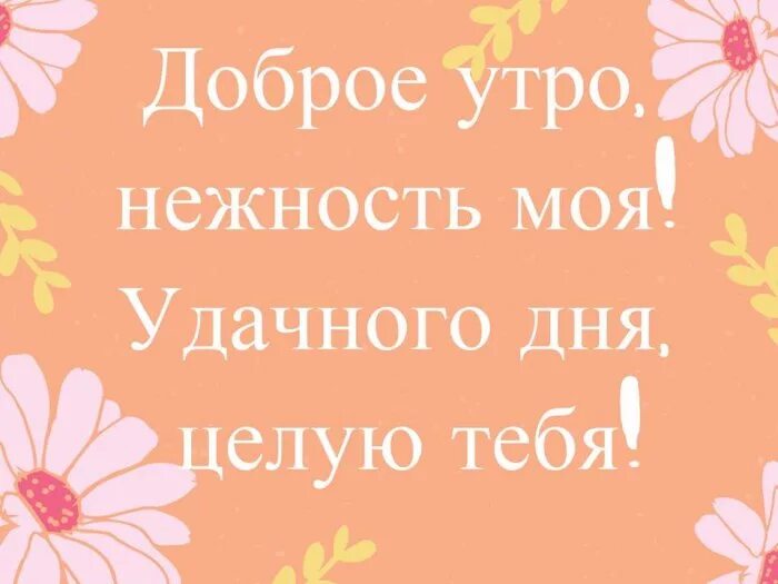 Пожелание с добрым утром доченька картинки Прикольные стихи с добрым утром мужчине