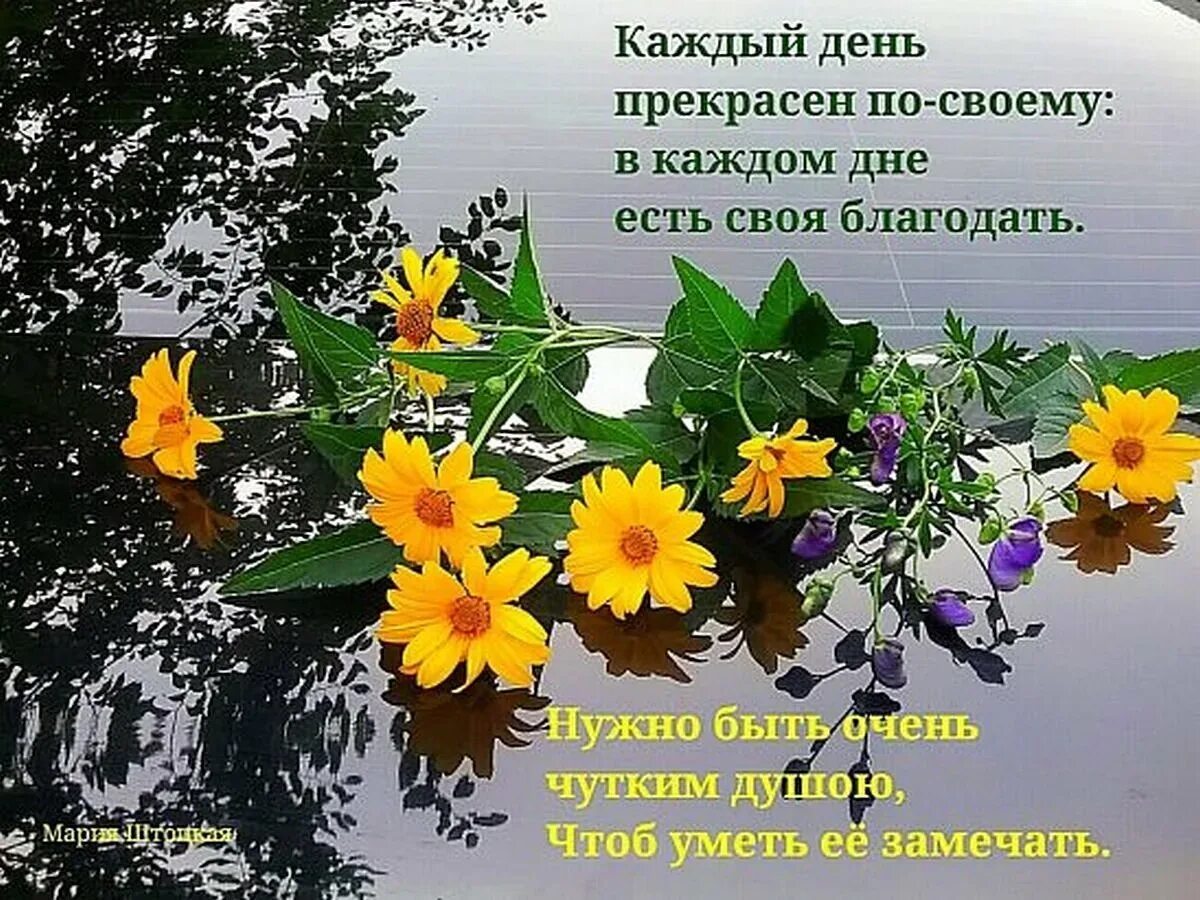 Пожелание здоровья картинки христианское доброго утра Православное пожелание доброго утра - 83 шт.