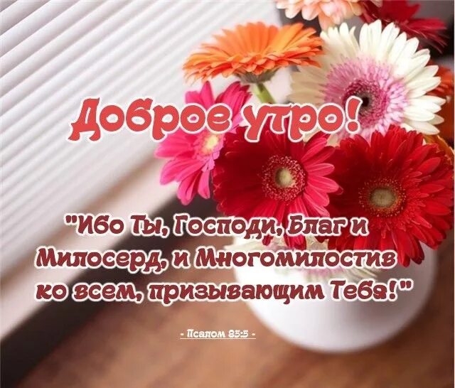 Пожелания благословенного дня с красивыми картинками Доброе утро благословенные - Поиск в Google Floral rings, Floral