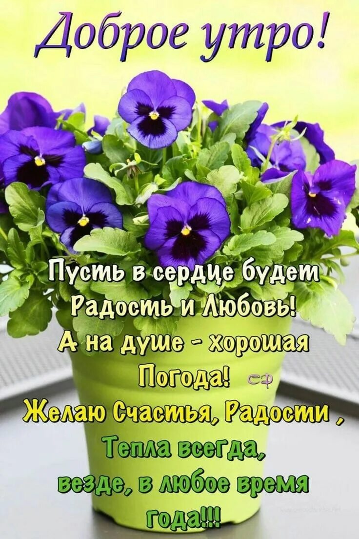 Пожелания благословенного дня с красивыми картинками Пин от пользователя NesvitStudio на доске Поздравления Доброе утро, Утренние цит