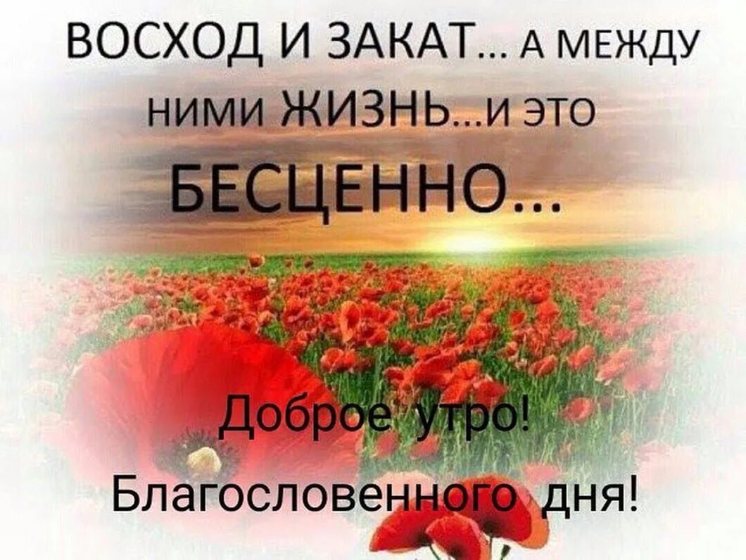 Пожелания благословенного дня с красивыми картинками Sign in Good morning, Feelings, Aha