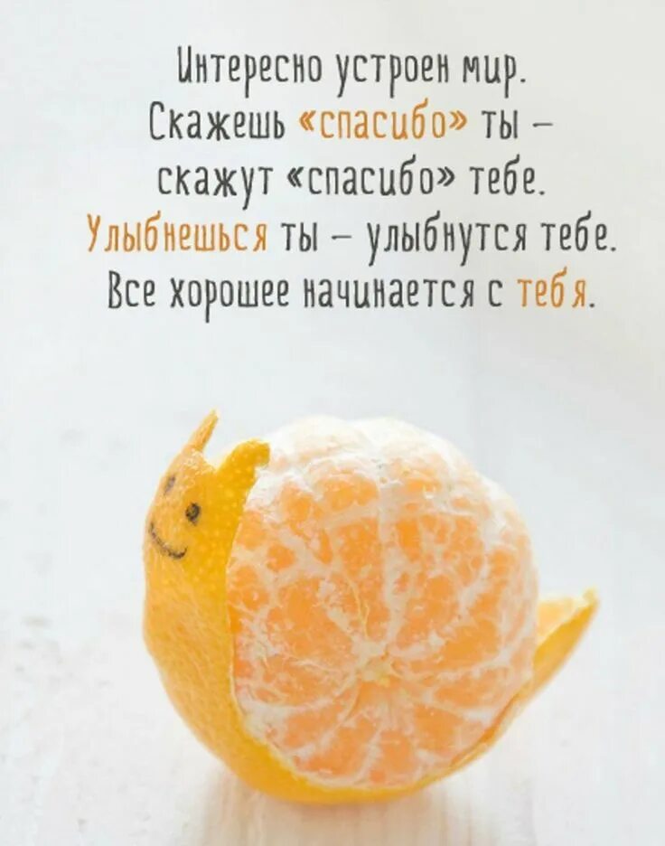 Пожелания доброго утра философские позитивные картинки Интересно устроен мир Funny phrases, Cool words, Clear mind