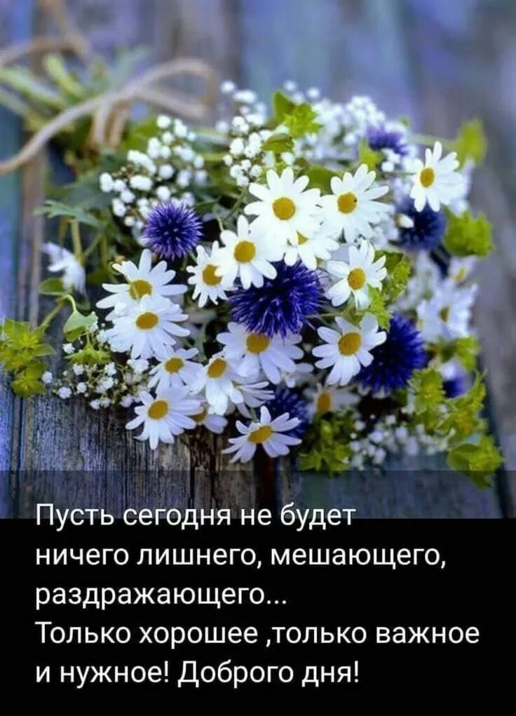 Пожелания доброго утра философские позитивные картинки Pin auf Доброе утро Guten morgen lustig, Guten morgen, Morgengrüße
