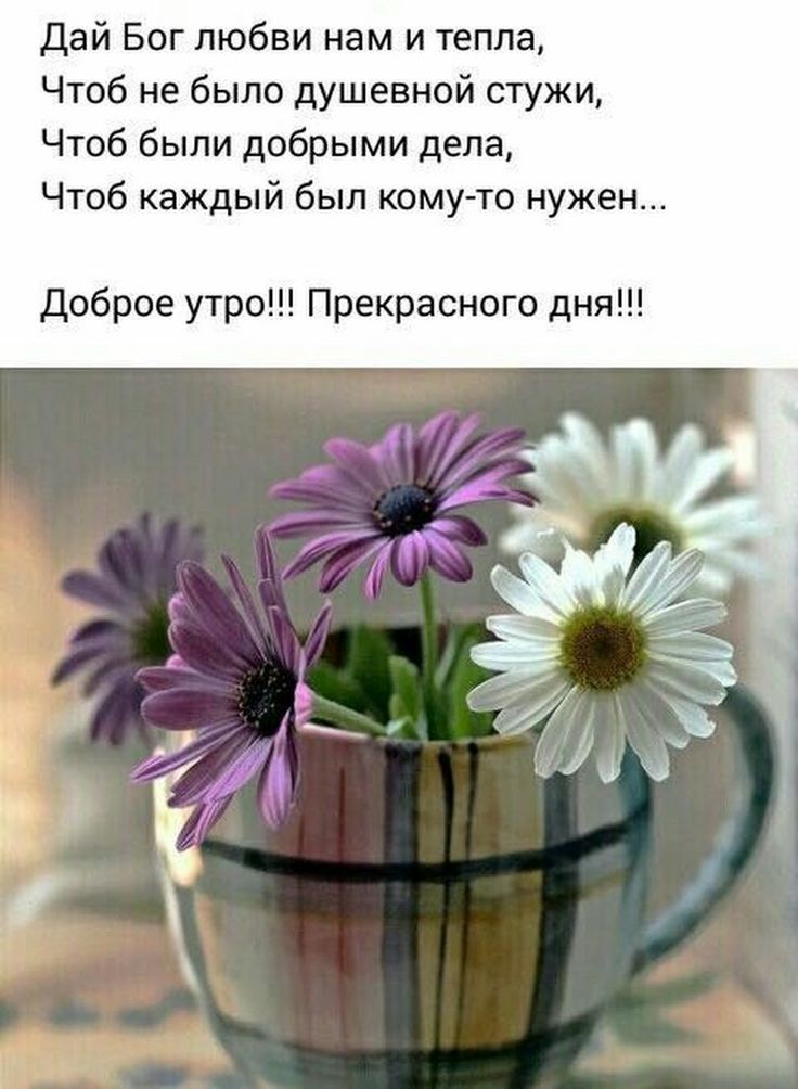 Пожелания доброго утра философские позитивные картинки ИМПЕРИЯ ЛЮБВИ Доброе утро, Воскресный утренний кофе, Сестра стихи