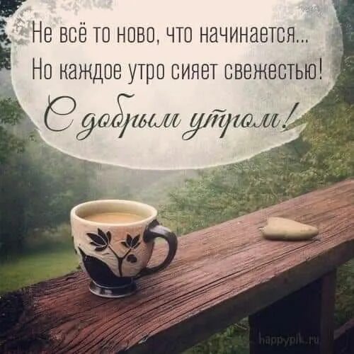 Пожелания доброго утра философские позитивные картинки Pin on Пожелания с добрым утром Good morning, Glassware, Positivity