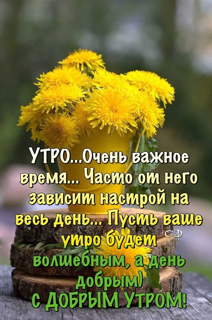 Пожелания доброго утра философские позитивные картинки Pin by Светлана on Доброе утро Good morning gif, Good morning quotes, Good morni
