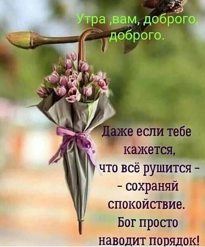 Пожелания доброго утра философские позитивные картинки Pin by Marina on Мир позитива и Хорошего настроения! Good morning photos, Christ