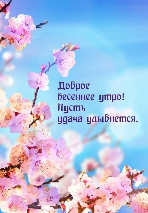 Пожелания доброго утра весна картинки Картинки с надписями. Доброе весеннее утро! Пусть удача улыбнется.