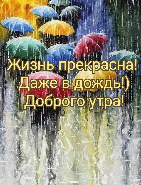 Пожелания дождя картинки позитивные Пин от пользователя Саня Корсаков на доске пожелания с утра и вечером Доброе утр