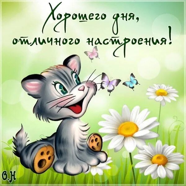 Пожелания хорошего дня картинки прикольные смешные Congratulation Friends ➡ https://vk.cc/cdLJeD 2023 Доброе Утро - Доброй Ночи VK