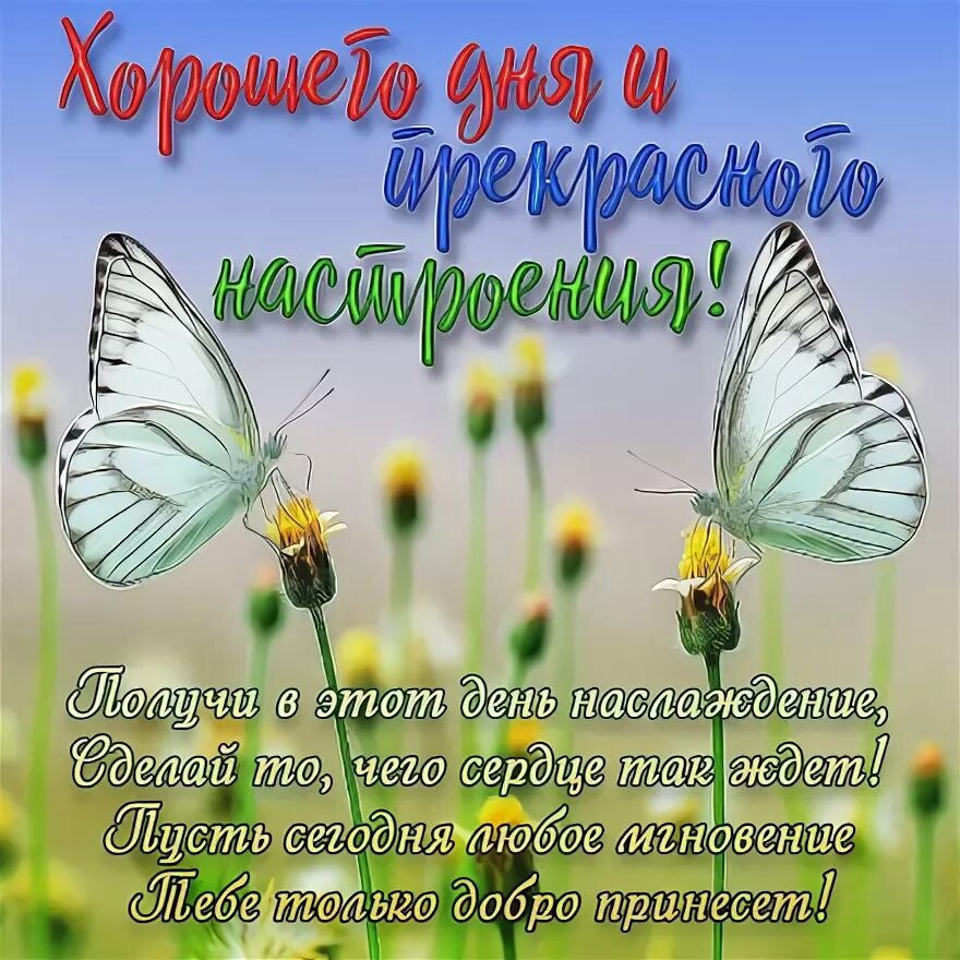 Пожелания хорошего дня в стихах картинки Анимация с хорошим днем женщине и отличного прекрасного настроения! скачать бесп