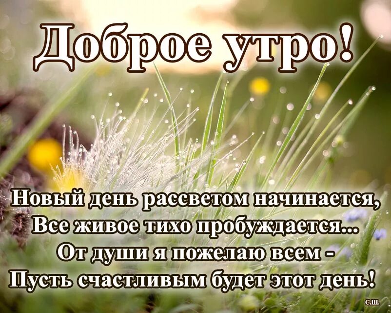 Пожелания мирного доброго утра в картинках Снова праздник пришел: найдено 43 изображений