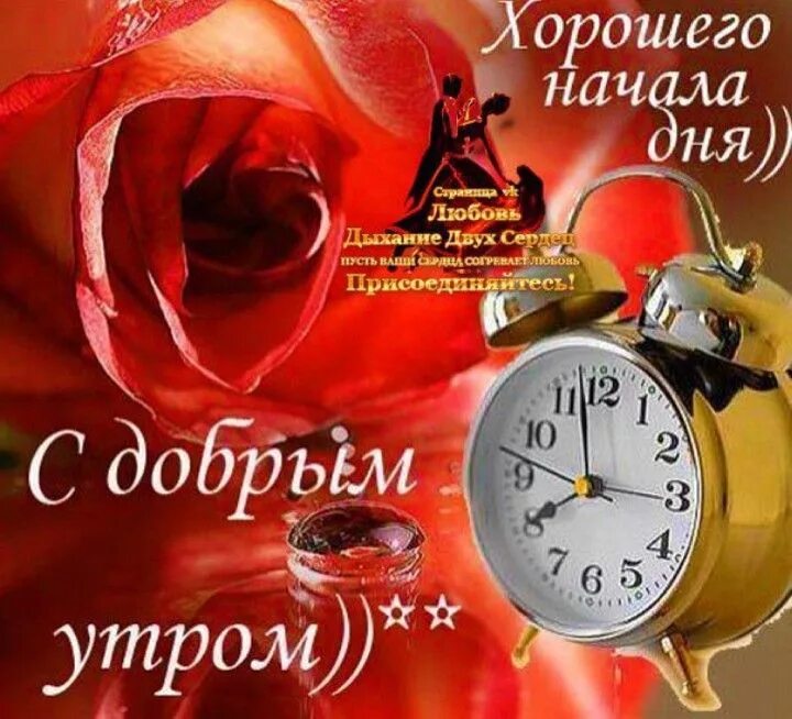 Пожелания с добрым картинки с песни Pin by Lesnoebibl on Доброе утро Alarm clock, Good morning, 10 things