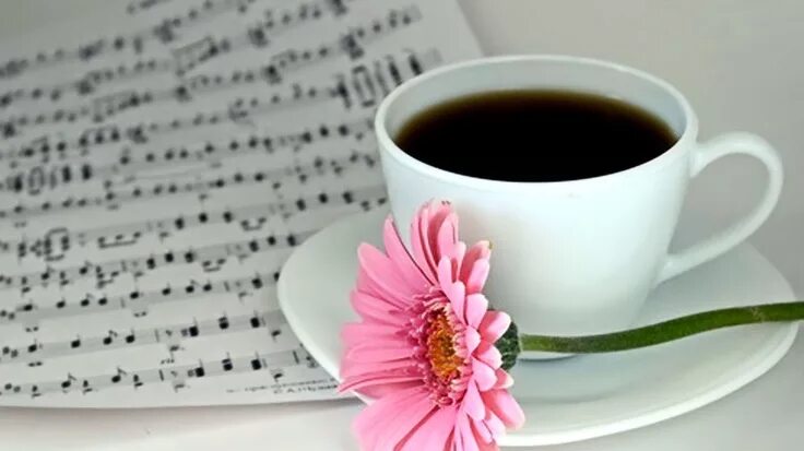 Пожелания с добрым картинки с песни coffee song Cafe, Café, Buena musica