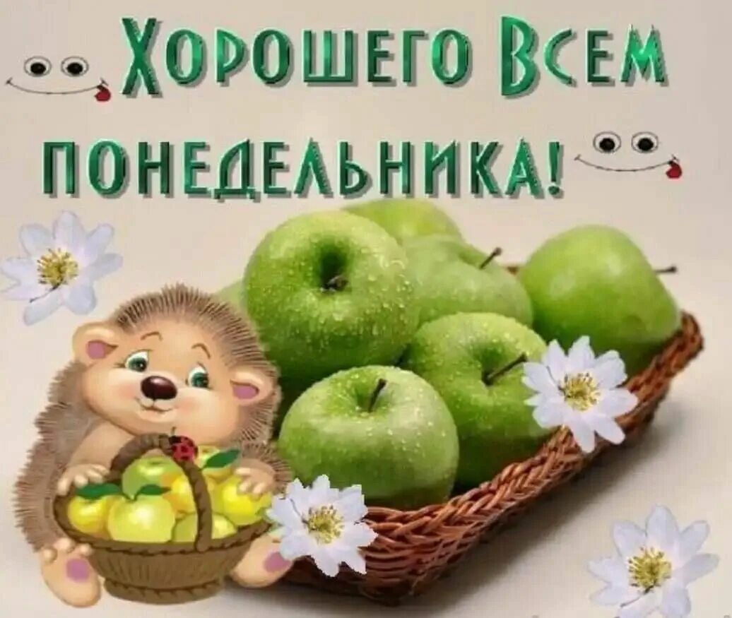 Пожелания с добрым понедельником прикольные картинки Пин от пользователя Leila Yusupova на доске Пожелания для недель Открытки, Добро