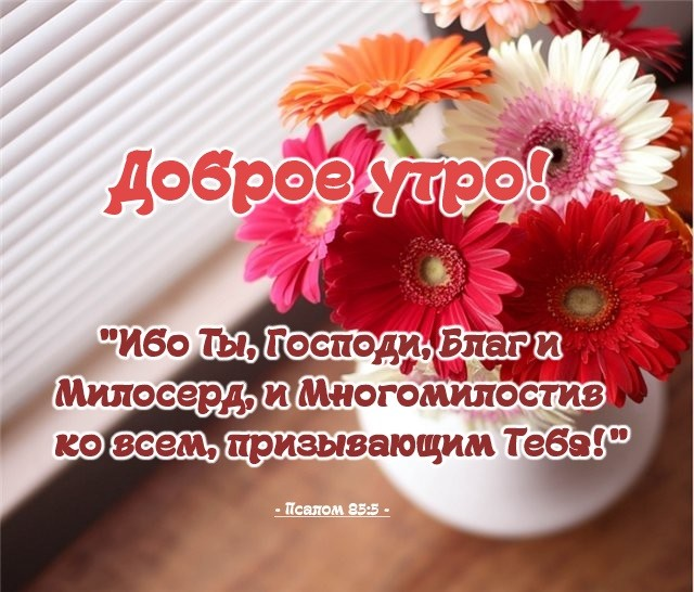 Пожелания с добрым православные картинки новые Доброе утро благословенные - Поиск в Google Картинки, Христианские картинки, Над