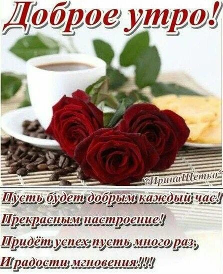 Пожелания с добрым утром девушке картинки красивые Пин от пользователя Наиль Зиганшин на доске Доброе утро Доброе утро, Картинки, Ч