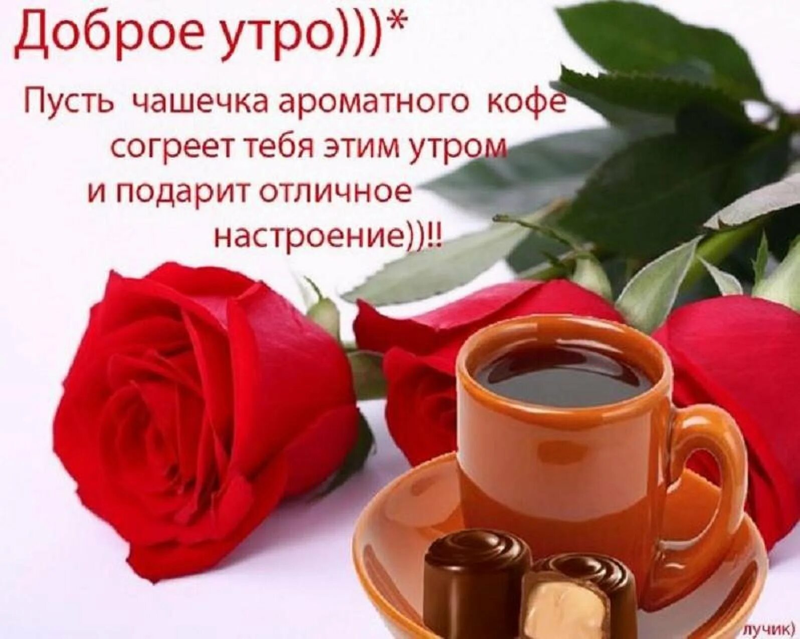 Пожелания с добрым утром девушке картинки красивые chemy
