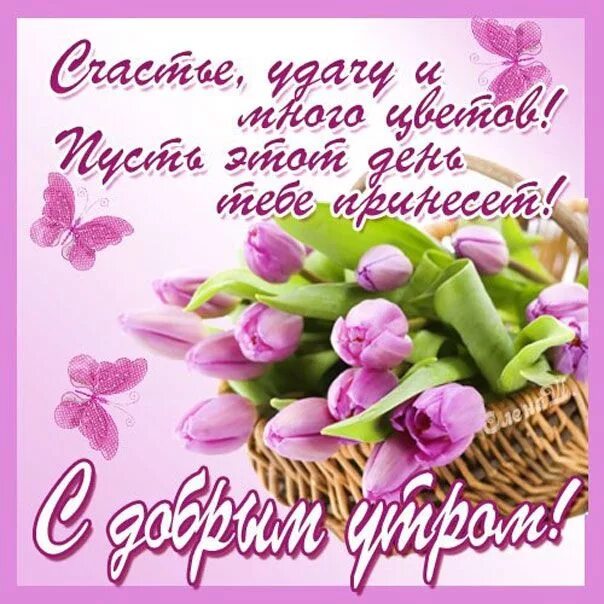 Пожелания с добрым утром девушке картинки красивые Открытки с Добрым утром Пожелания картинки хорошего утра Романтическое утро аним