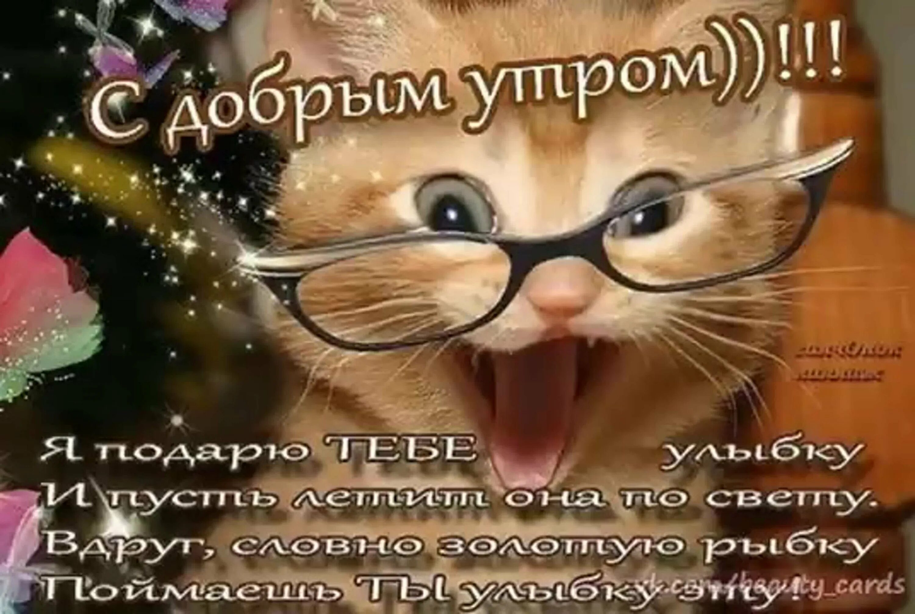 Пожелания с добрым утром девушке картинки прикольные Веселая открытка с добрым утром хорошим днем: найдено 88 изображений