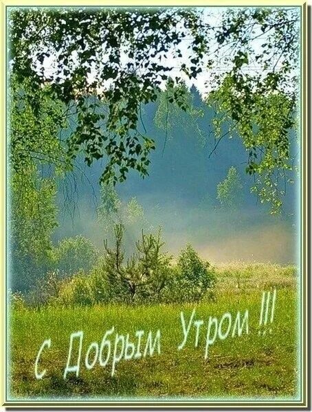 Пожелания с добрым утром с картинками природы Пин от пользователя Людмила Свирчевская на доске Доброе утро Природа, Доброе утр