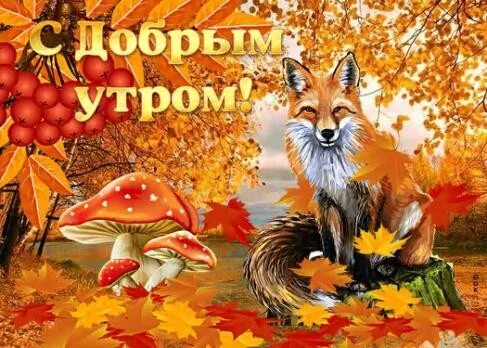 Пожелания с картинками лисичек добрые ♥ открытки - GIF on Viber