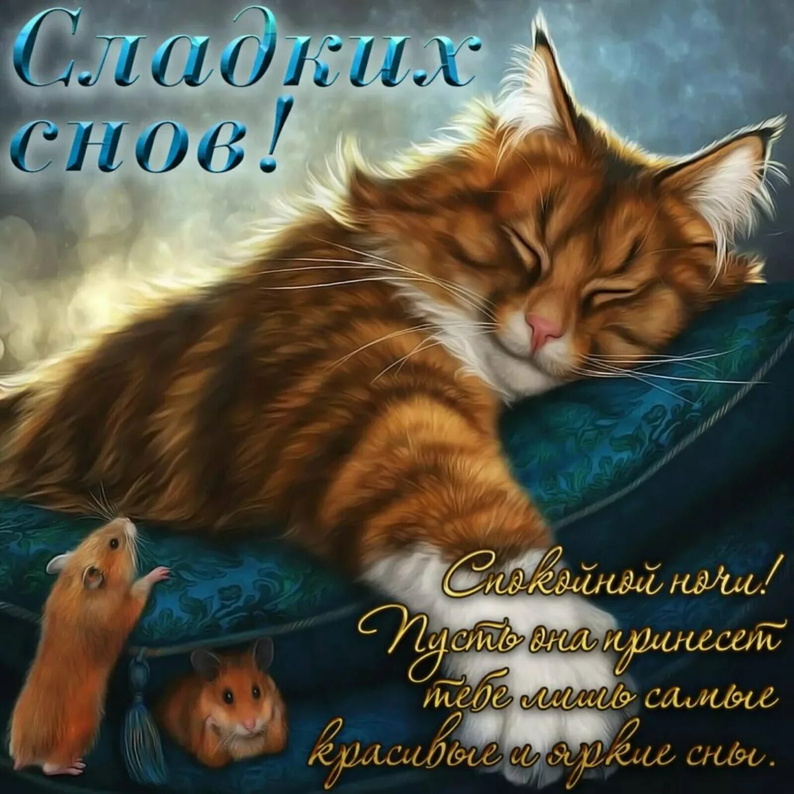 Пожелания спокойной ночи фото и картинки Сладких нежных снов картинки с надписями: найдено 77 изображений