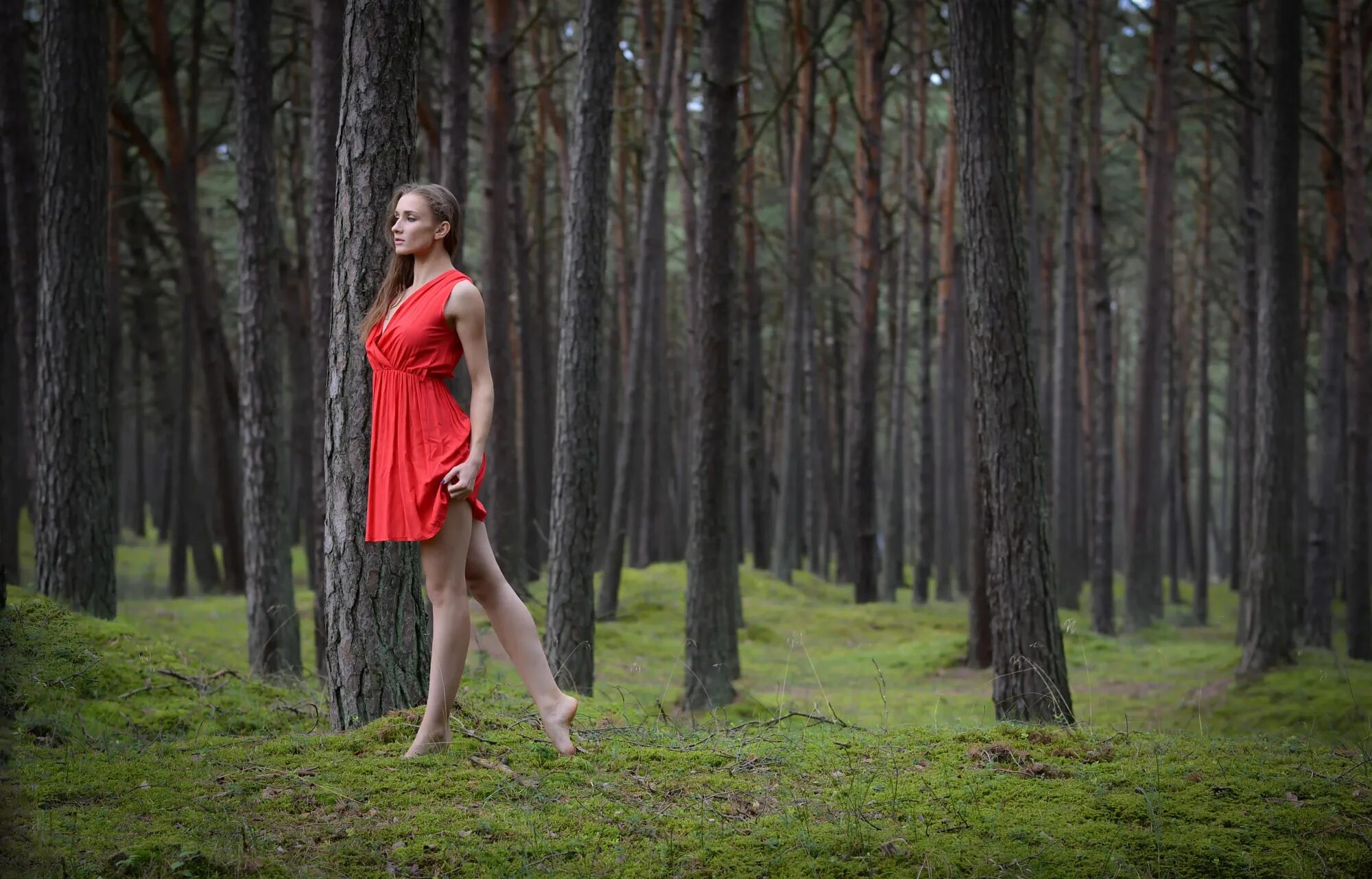 Позирует в лесу фото Wallpaper : plant, tree, People in nature, flash photography, branch, wood, Natu