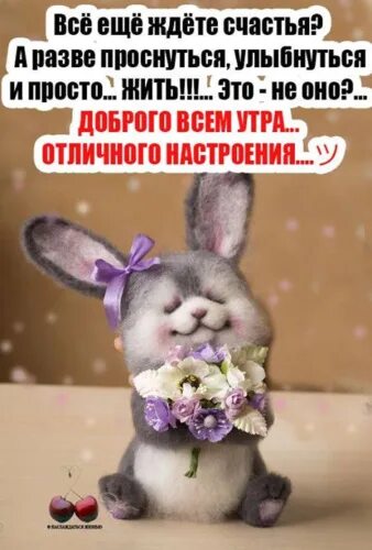 Позитивная картинка для поднятия настроения утром Лента по интересам - Картинки - 1237120 - Tabor.ru