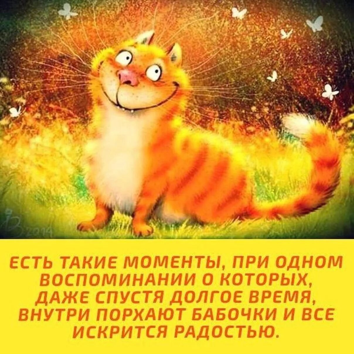 Позитивная картинка для поднятия настроения утром Отлично сказано 2022 Ежик и Колючка ВКонтакте