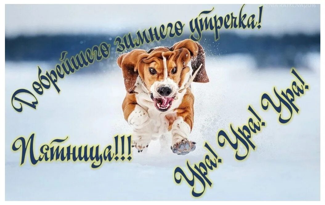 Позитивная пятничная картинка Good morning and wake up. Friday has arrived ! Smile quickly to the sun, To day 