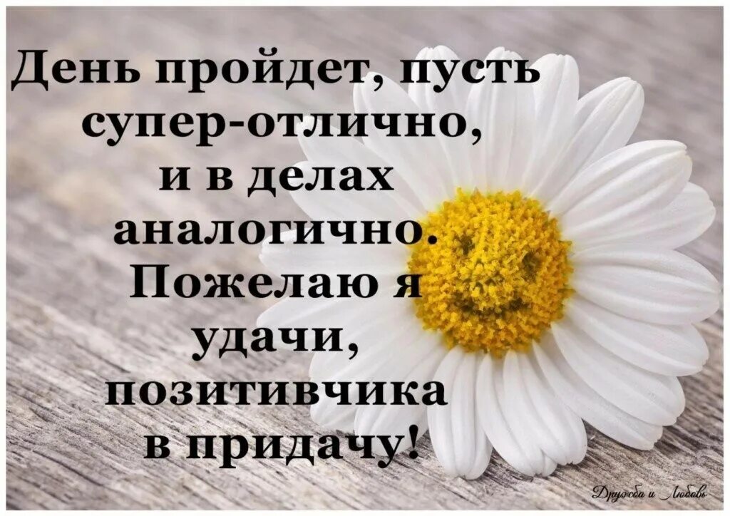 Позитивное настроение картинки мудрые Пусть будет пусто: найдено 76 изображений