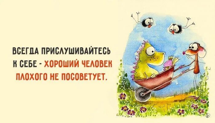 Позитивное настроение картинки мудрые Пин от пользователя Life Good на доске Юмор / Humor (с изображениями) Смешно, От