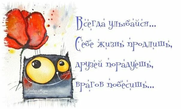 Позитивное настроение цитаты со смыслом картинки смешные выражения для позитивного настроения: 10 тыс изображений найдено в Яндек