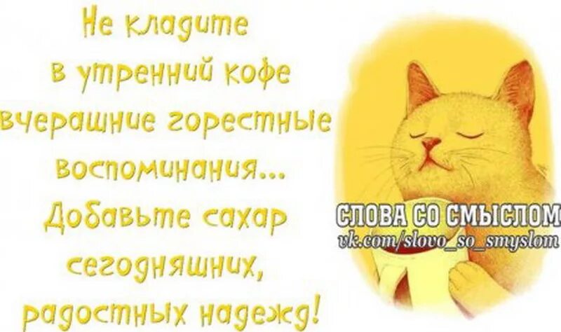 Позитивное настроение цитаты со смыслом картинки Даю установку на добро! Живи с оптимизмом! Слова со смыслом и позитивом