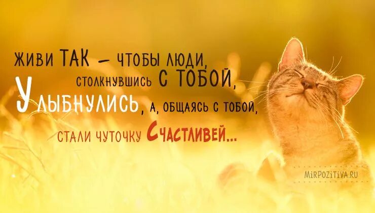 Позитивное настроение цитаты со смыслом картинки Пин на доске Жизненная мотивация
