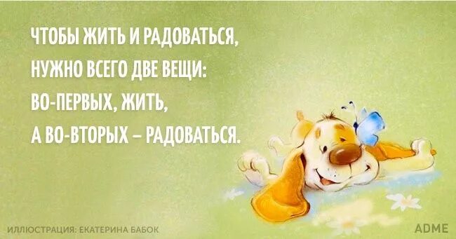 Позитивное настроение цитаты со смыслом картинки 15 открыток с позитивной философией Шутки, Смешные высказывания, Философия