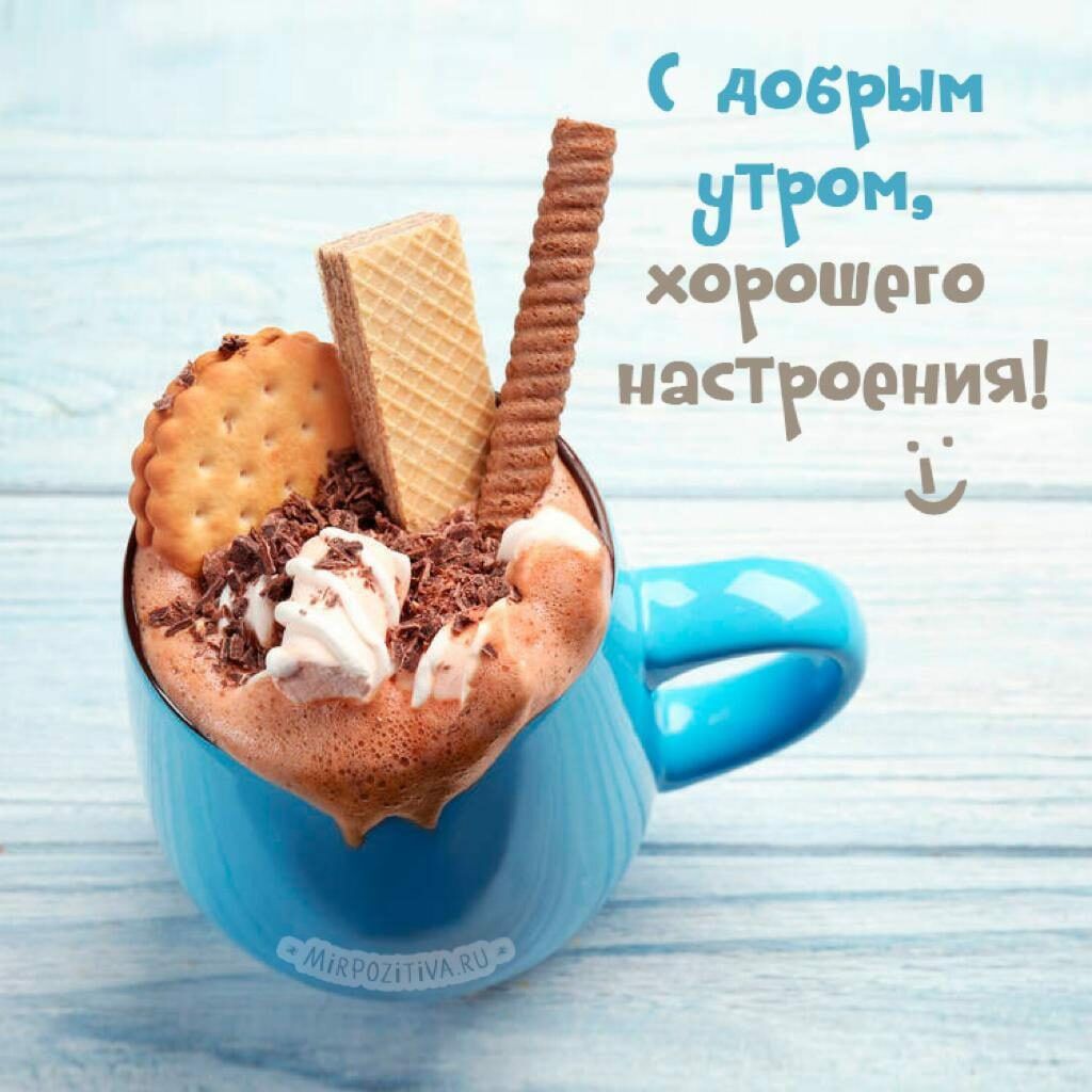 Позитивное утро для девушки картинки Моя Дача. Geburtstag bilder, Guten morgen lustig, Grüße