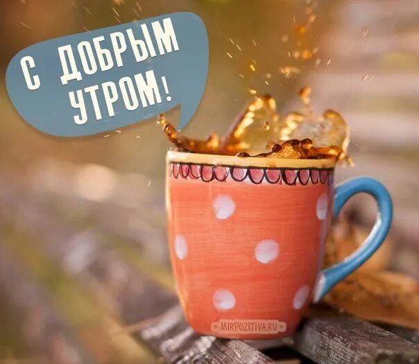 Позитивное утро картинки красивые ☀ Good morning to you, my sunshine. May your luck turn. Let all your plans come 