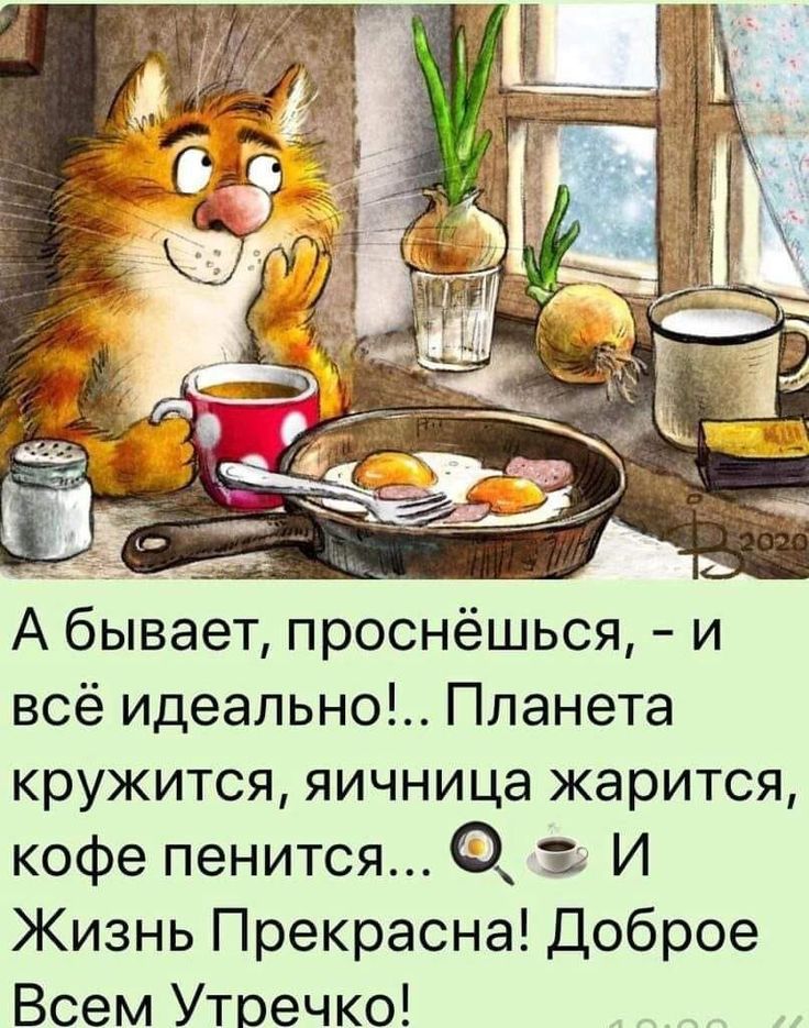 Позитивное утро картинки прикольные смешные Pin by Зинаида Бабенко on Доброе утро Good morning cards, Good morning images, G