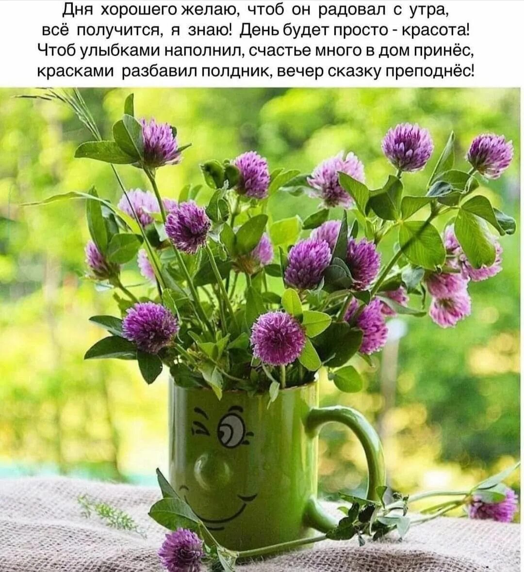 Позитивного летнего утра картинки Pin by Лёля Galustyan on Пожелания с добрым утром Flora botanica, Valley of flow