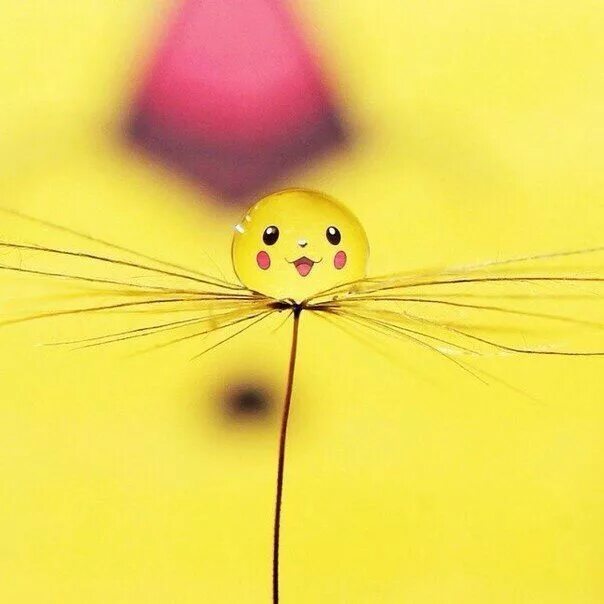 Позитивного настроения картинки Pikachu Funny iphone wallpaper, Iphone wallpaper, Surreal photos