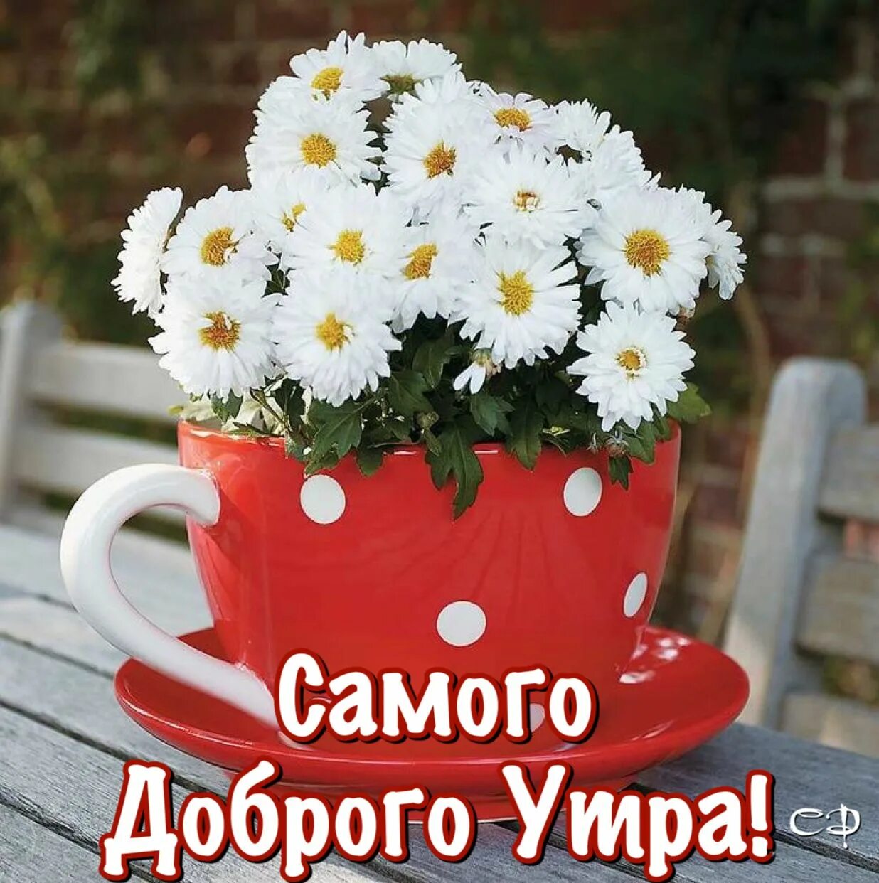 Позитивного утра и отличного настроения картинки Pin by Светлана on Доброе утро Beautiful flower arrangements, Beautiful flowers,