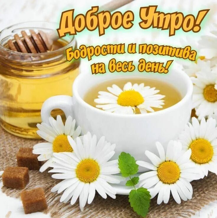 Позитивного утра картинки с пожеланиями Pin on Доброе утро Tableware, Glassware, 10 things