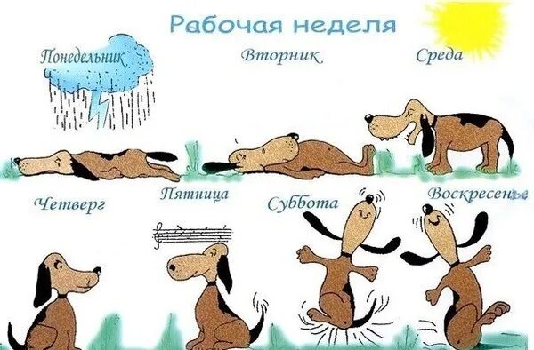 Позитивной недели картинки прикольные Do this: in the week, choose one day, the most usual, say - Thursday ! Thursday 