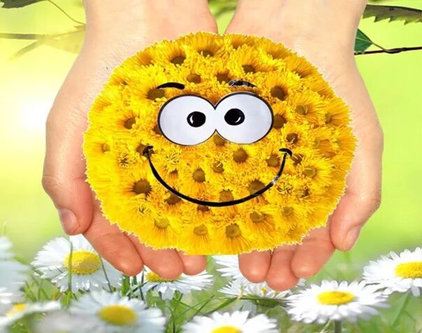 Позитивные картинки бесплатно Let your life be like a daisy... bright and sunny inside. 2018 Лучшие рецепты до