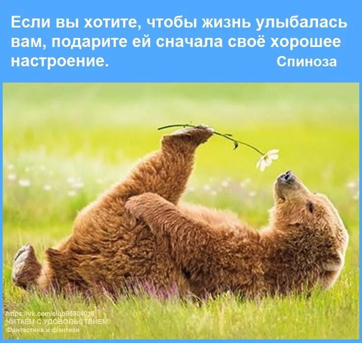 Позитивные картинки до слез Цитаты. Мудрость. Афоризмы. Цитата Спиноза. Cute animals, Baby animals, Animals